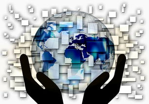 九游官网入口活动-全国电子竞技公开赛上海收官，全国电子竞技大赛官网2020